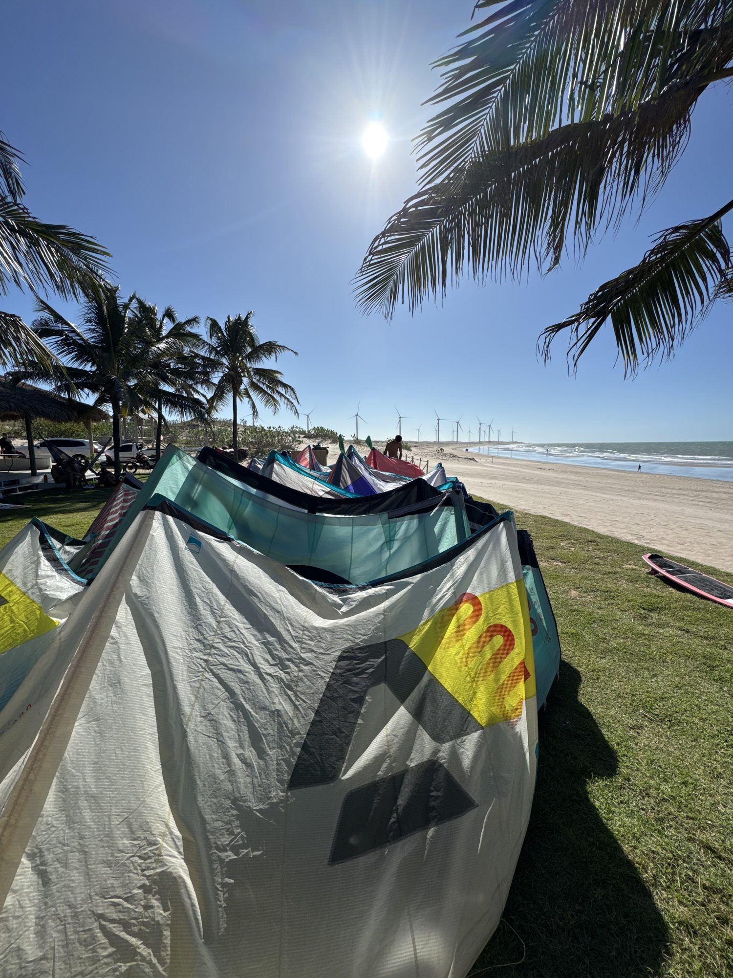 Une rangée de kites posés sur l'herbe sous des cocotiers, parc éolien en arrière-plan.