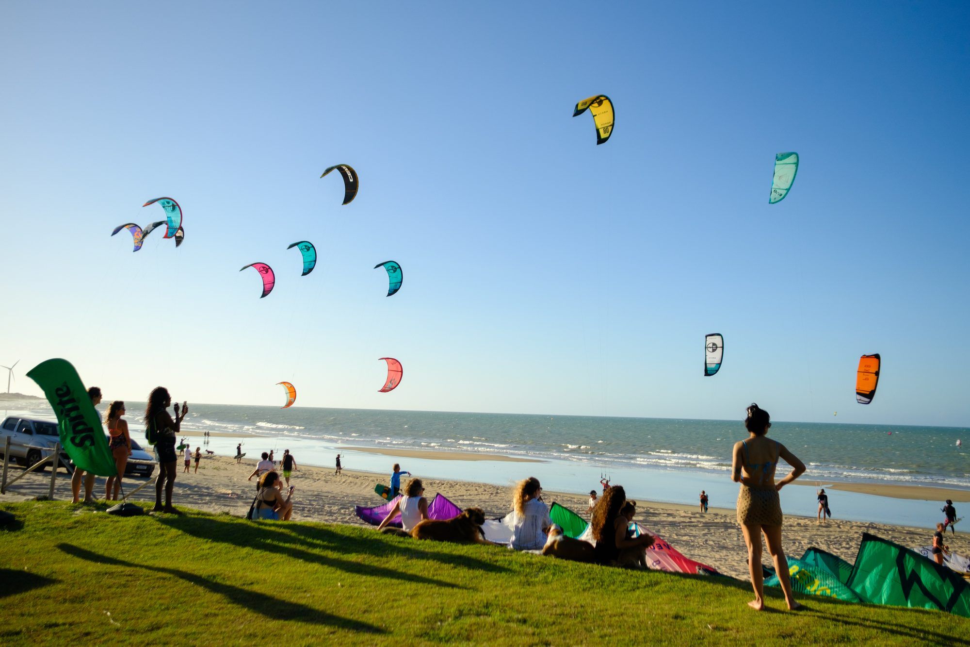 Decenas de cometas de colores volando sobre la playa.